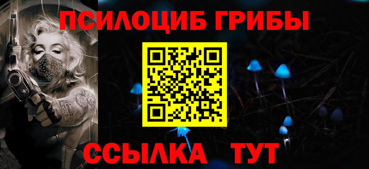 Фурманов  Галлюциногенные грибы прущие грибы  Вход с VPN 